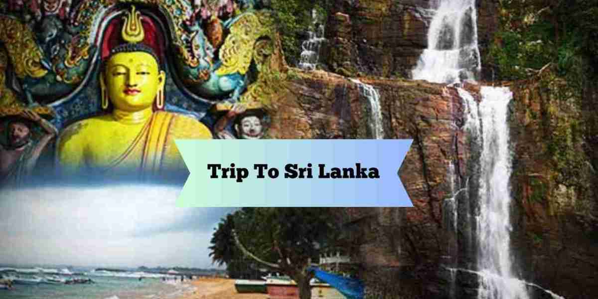 Unveiling Sri Lanka's Treasures: Beaches, Buddhas, and Breathtaking Adventures
