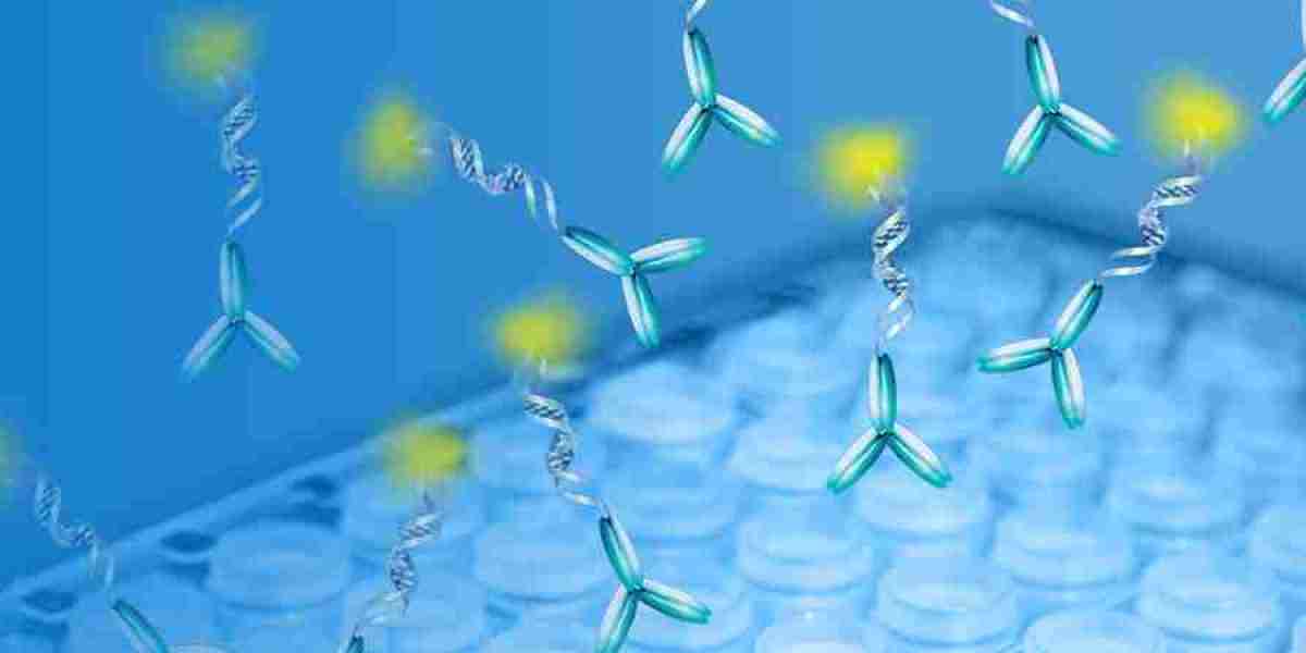 The global immunoassay market is expected to be worth USD 45.78 billion by 2032