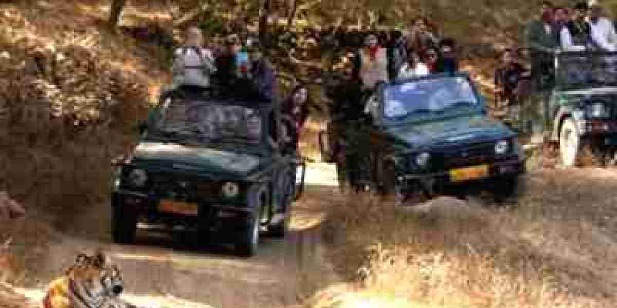 Exclusive Ranthambore Tour Experience for First-Time Visitors