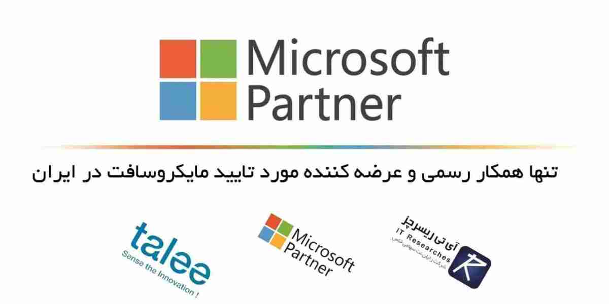 The Role of Microsoft Partners in Iran's Technological Advancementv