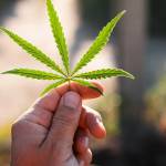 Smart HempGummies Australia