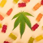 Smart Hemp Gummies Canada