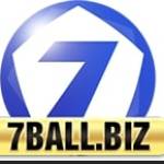 7ball biz