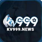 kv999 news