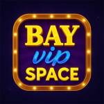 BAYVIP