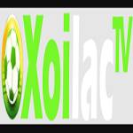 xoilactvnvzcc die web
