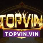 Topvin