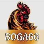 BOGA66 Casino