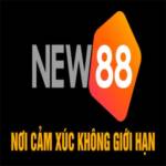 New88  Nhà cái uy tín hàng đầu châu Á