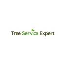 Tree Service Expert