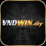 VNDWIN VNDWIN