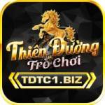 Tdtc1 Biz