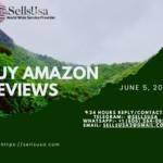 BuyVerified PayPalAccount
