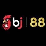 Bj88com Skin