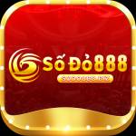 sodo888 biz