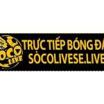 SOCO LIVE