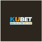 kube hanesllambed