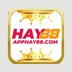 App HAY88