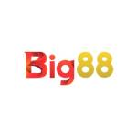 Big88 Net