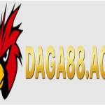 Daga88 Sân chơi đá gà trực tuyến đỉnh c