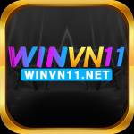 winvn11 net