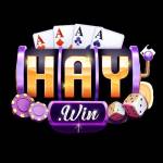HAYWIN Hay win