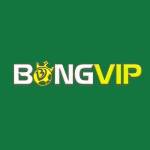 BONGVIP  Cổng cá cược đỉnh cao