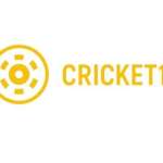 icricket 11