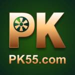 pk55 game diversão e ganhos no seu mundo de jogos online