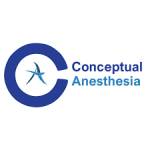 Conceptual Anesthesia