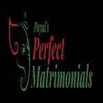 Perfect Matrimonial