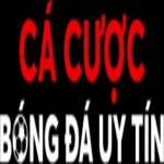 Cá Cược Bóng Đá