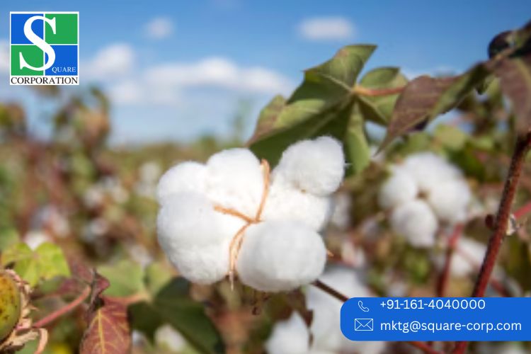 Premium Linen Fabric Leaders in India