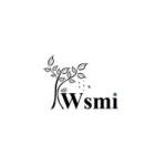 WSMI CO