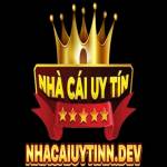 Nhacaiuytinn dev